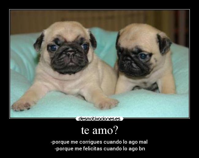 te amo? - -porque me corrigues cuando lo ago mal 
-porque me felicitas cuando lo ago bn