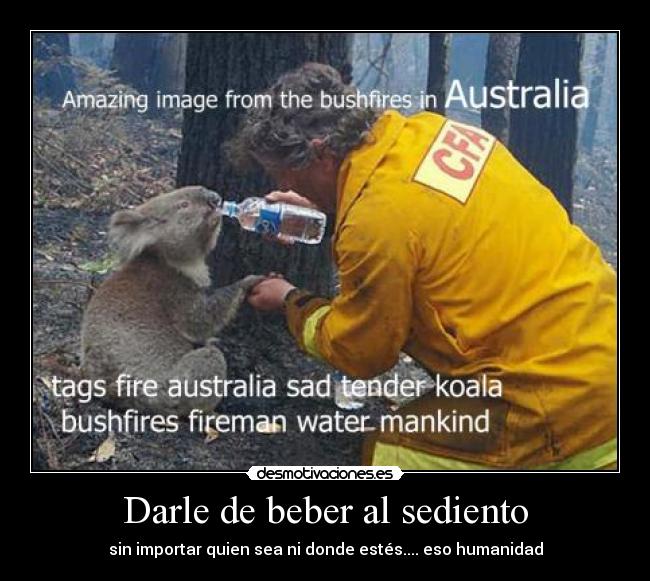 Darle de beber al sediento -