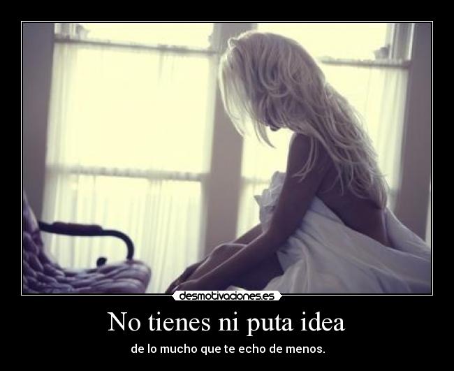 No tienes ni puta idea -