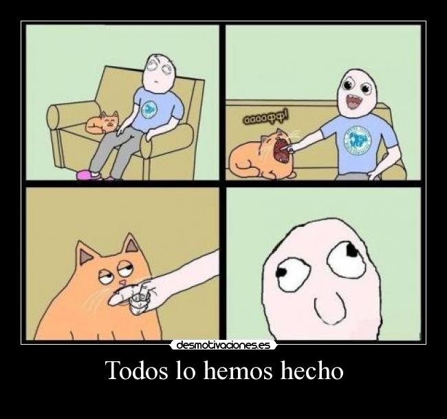 carteles poner dedo boca gatosbosteza perro troll desmotivaciones