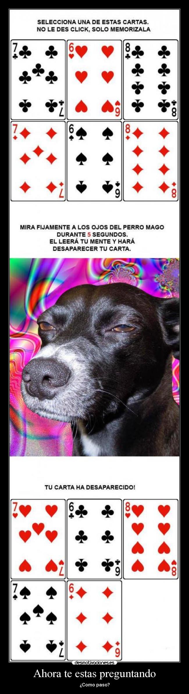 Ahora te estas preguntando - ¿Como paso?