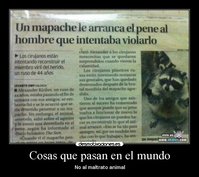 Cosas que pasan en el mundo - No al maltrato animal