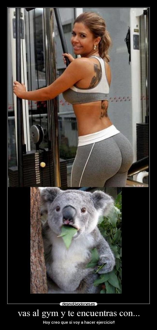 vas al gym y te encuentras con... - Hoy creo que si voy a hacer ejercicio!!