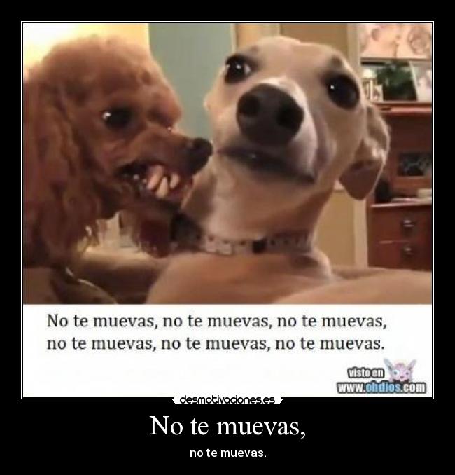 No te muevas, - no te muevas.