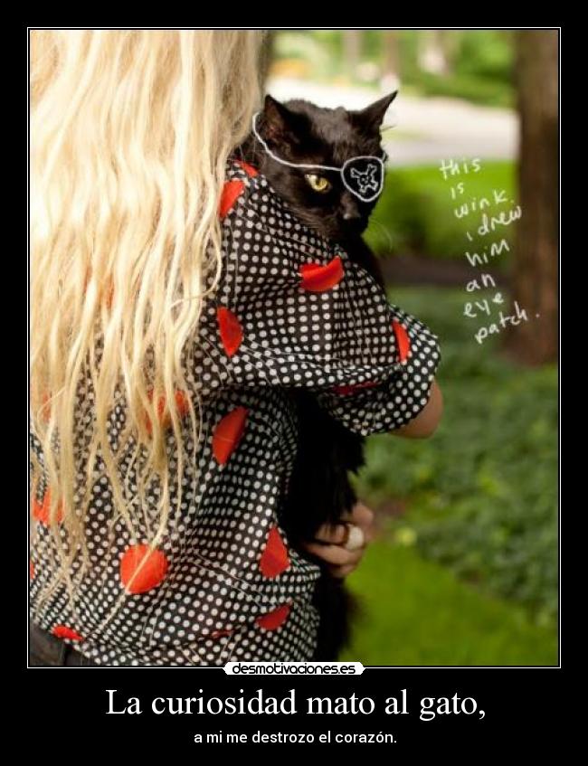 La curiosidad mato al gato, - a mi me destrozo el corazón.