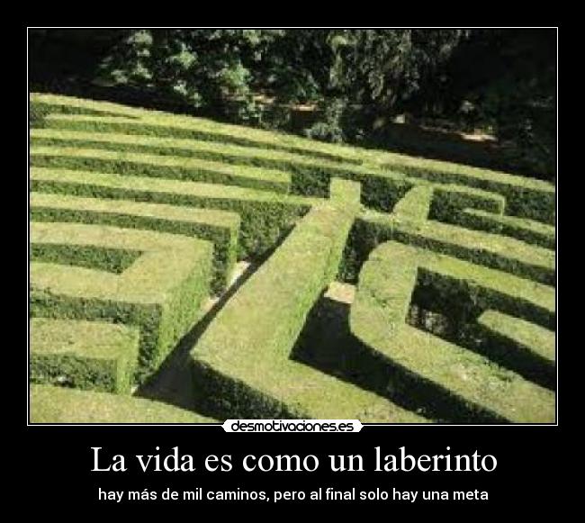 carteles vida laberinto meta desmotivaciones