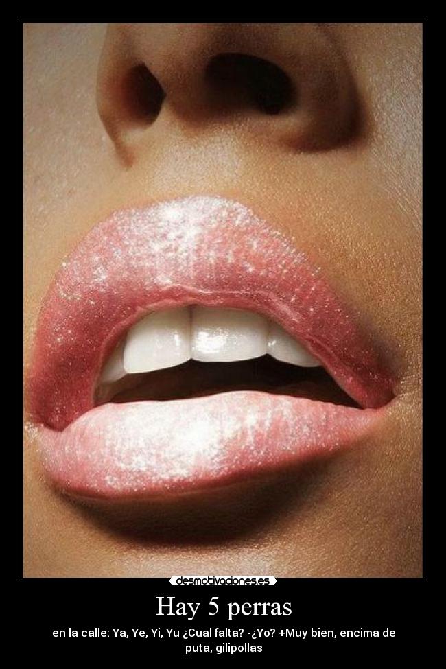 Hay 5 perras -