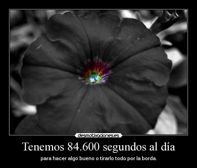 Tenemos 84.600 segundos al día - 