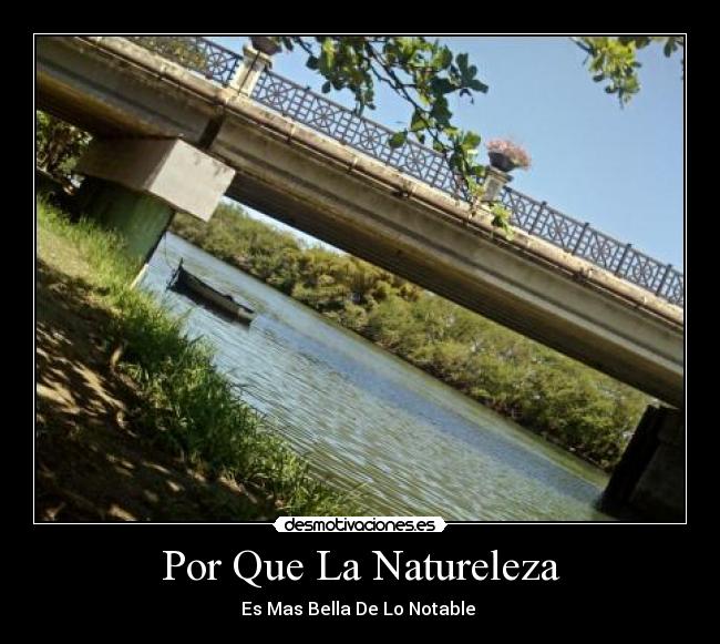 carteles naturaleza desmotivaciones