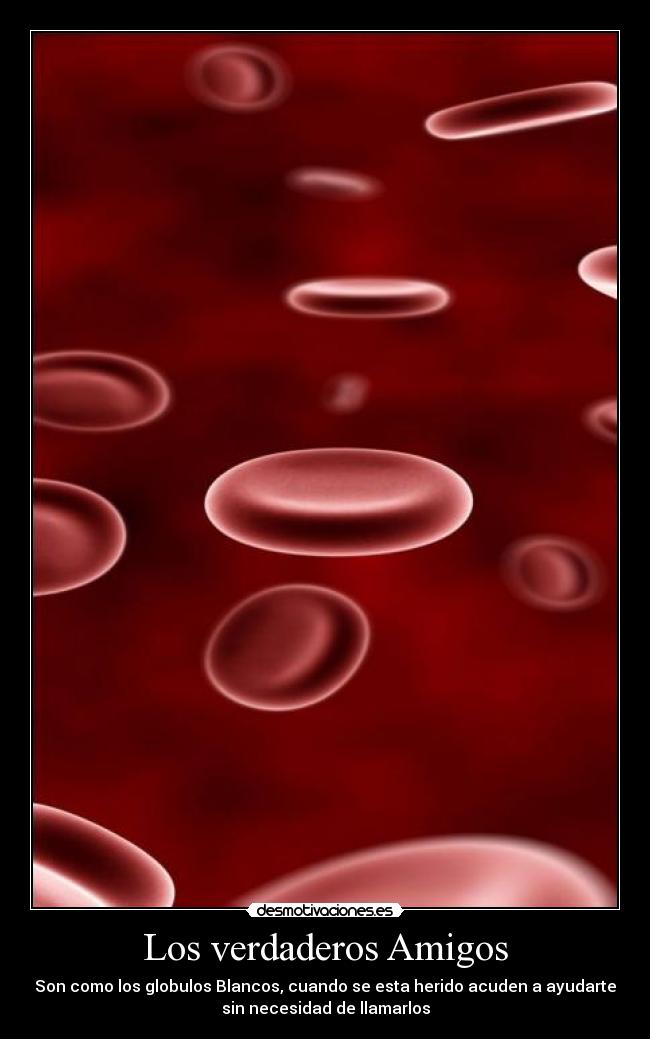 Los verdaderos Amigos - Son como los globulos Blancos, cuando se esta herido acuden a ayudarte
sin necesidad de llamarlos