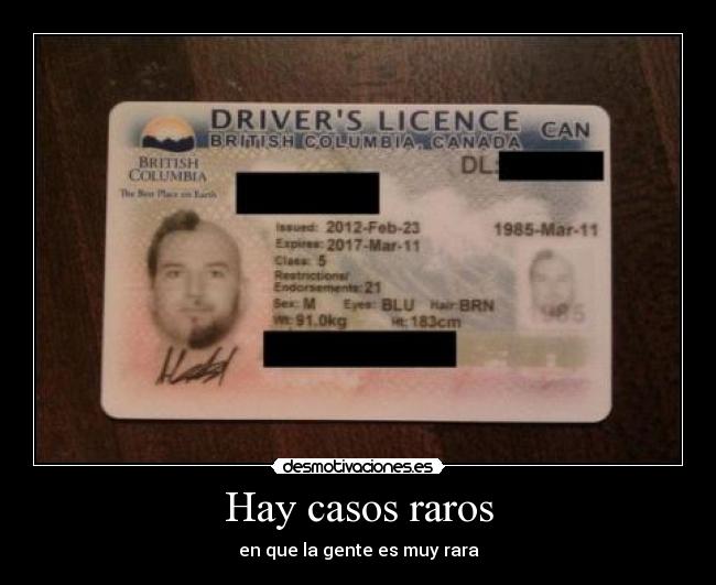 carteles sigueme twitter cuenta lgns desmotivaciones