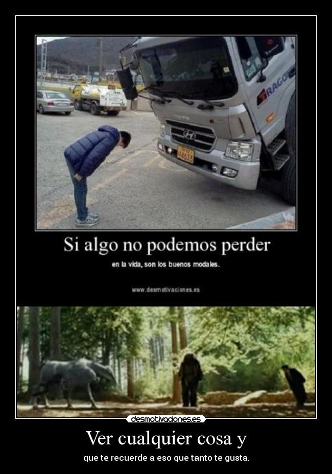 Ver cualquier cosa y -