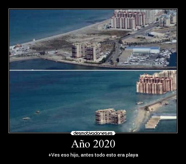 Año 2020 - 