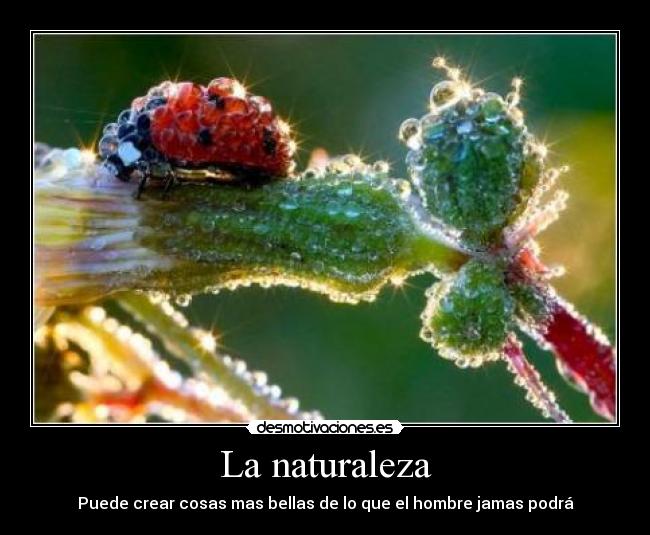 La naturaleza -