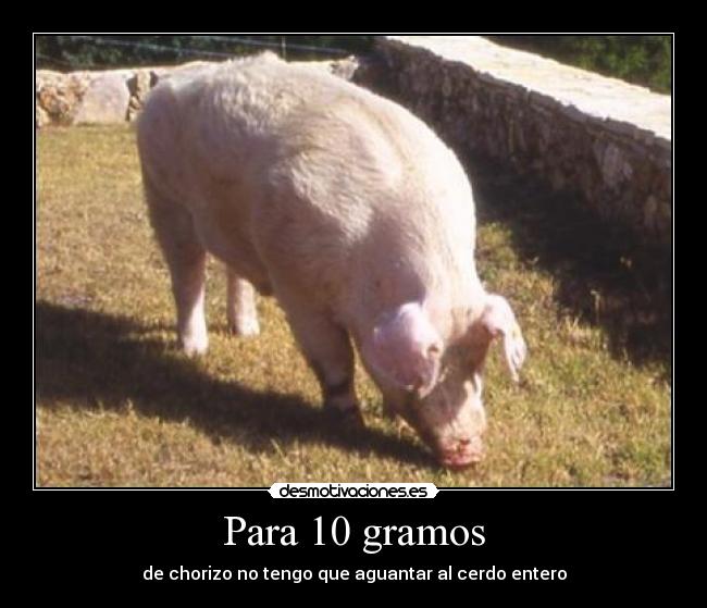 Para 10 gramos - de chorizo no tengo que aguantar al cerdo entero