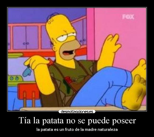 carteles homer patata puede poseer miaumiaumiaumiau desmotivaciones