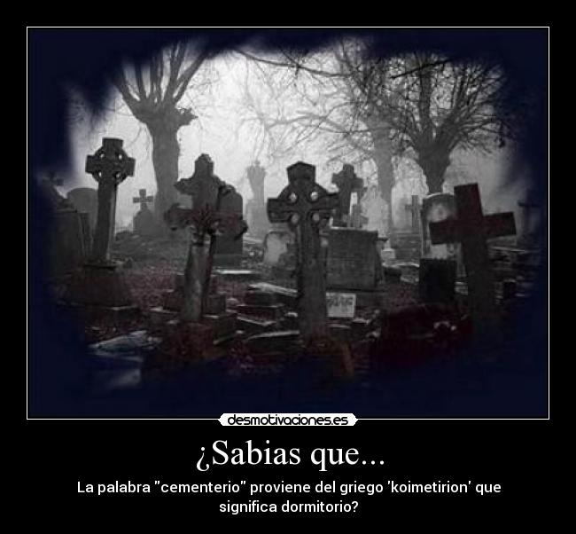 ¿Sabias que... -