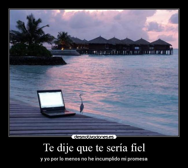 Te dije que te sería fiel -