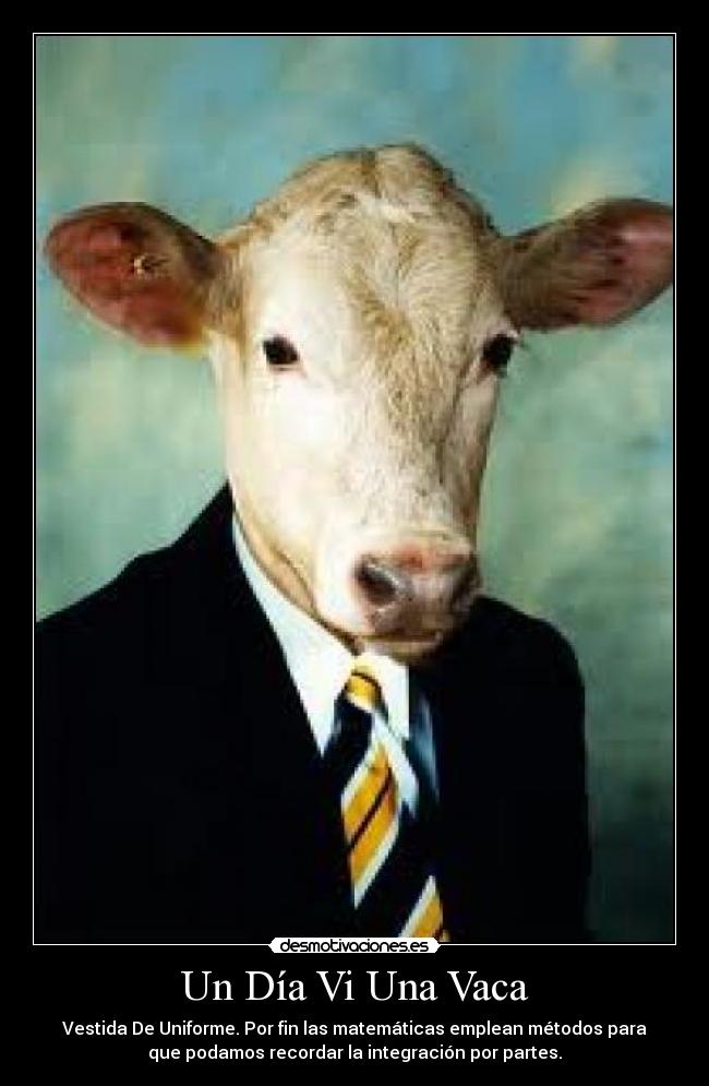 carteles mariatururu desmotivaciones