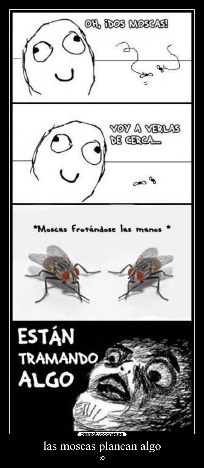 las moscas planean algo - :O