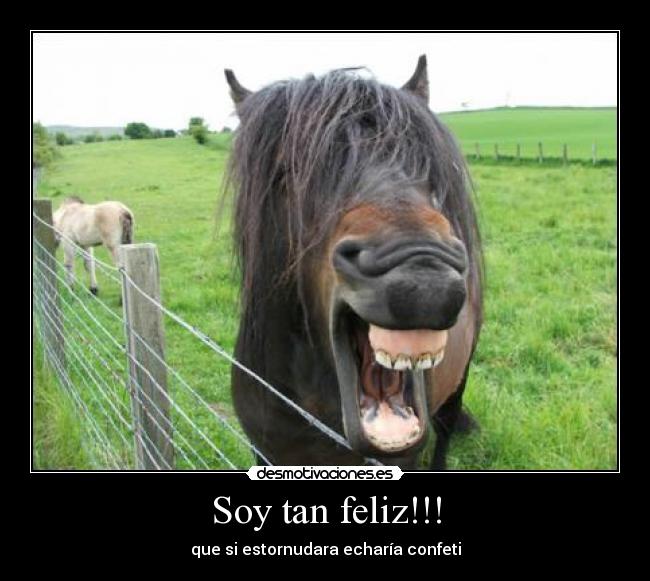 Soy tan feliz!!! - que si estornudara echaría confeti