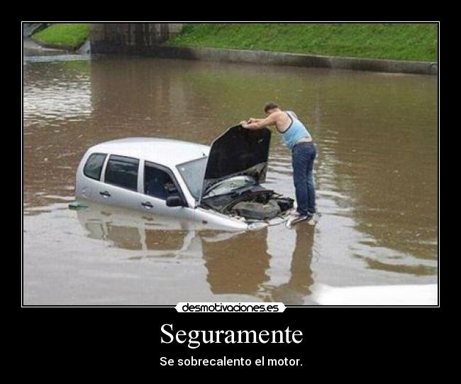 Seguramente - Se sobrecalento el motor.