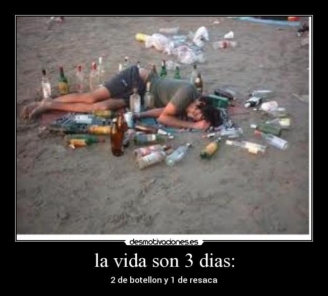 la vida son 3 dias: - 2 de botellon y 1 de resaca