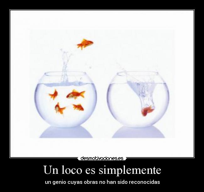 Un loco es simplemente - 