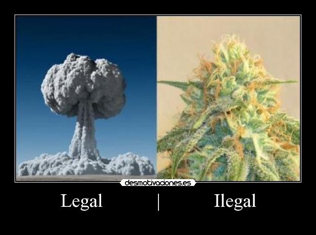 Legal | Ilegal -