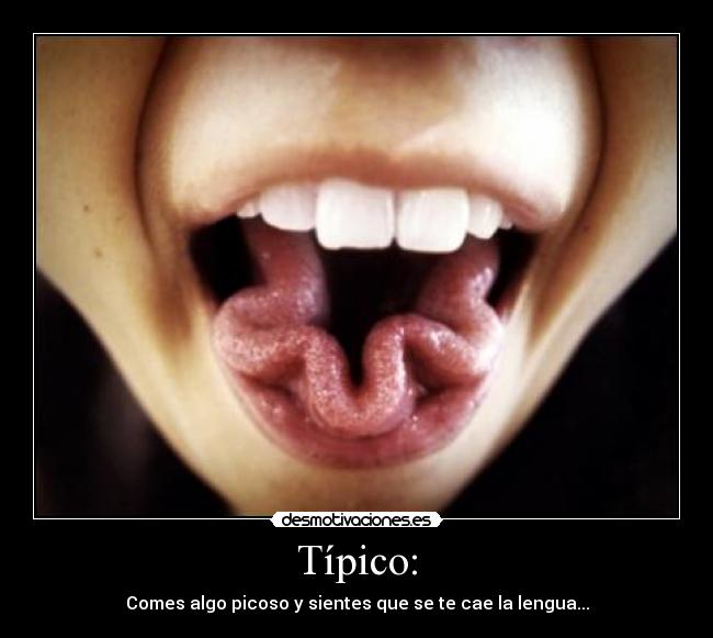 carteles gelleret desmotivaciones