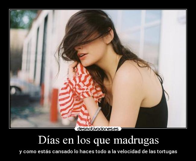 carteles xddddddddddddddddd hoy plagiado ninguno jijiji desmotivaciones