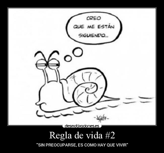 carteles vida regla vida desmotivaciones