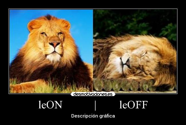 leON | leOFF -