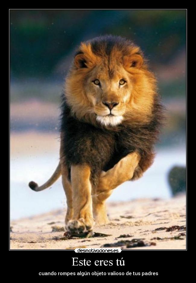 Este eres tú - cuando rompes algún objeto valioso de tus padres