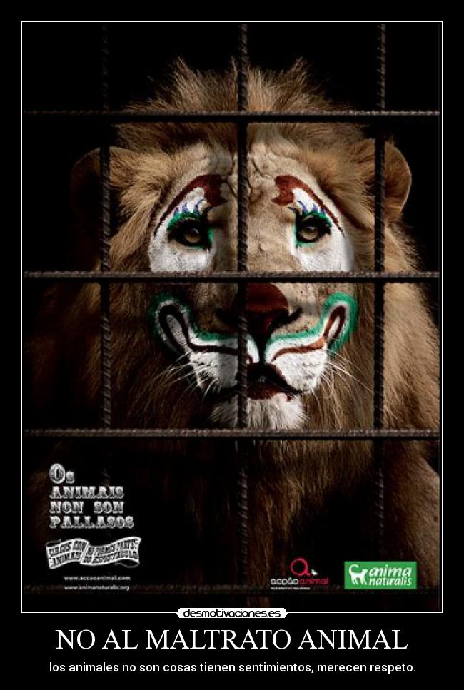 NO AL MALTRATO ANIMAL - los animales no son cosas tienen sentimientos, merecen respeto.