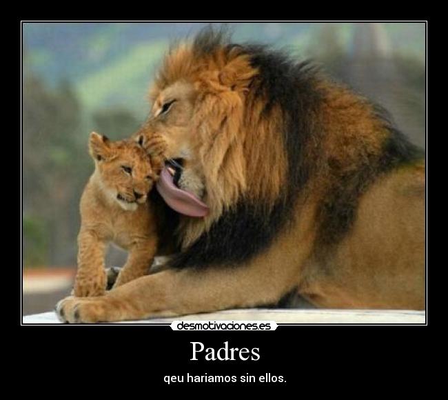 Padres - qeu hariamos sin ellos.