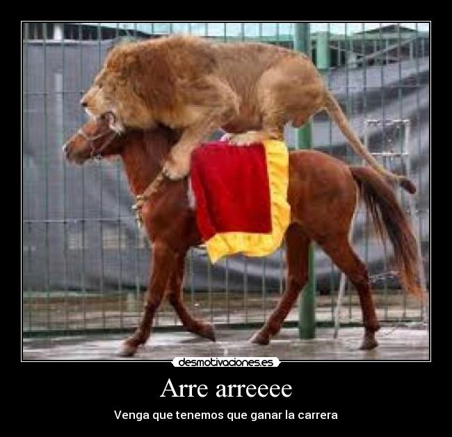 Arre arreeee -