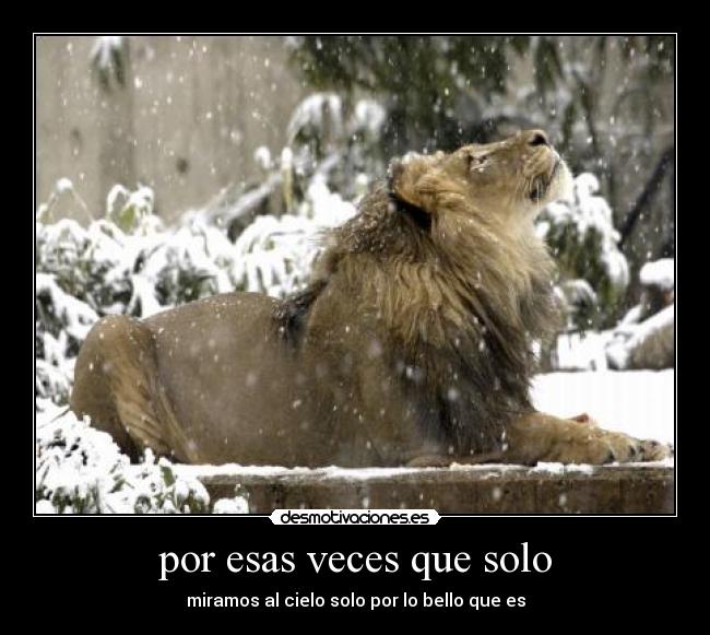 por esas veces que solo - 