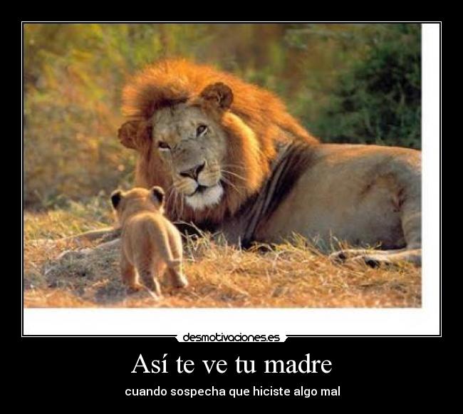 Así te ve tu madre - cuando sospecha que hiciste algo mal