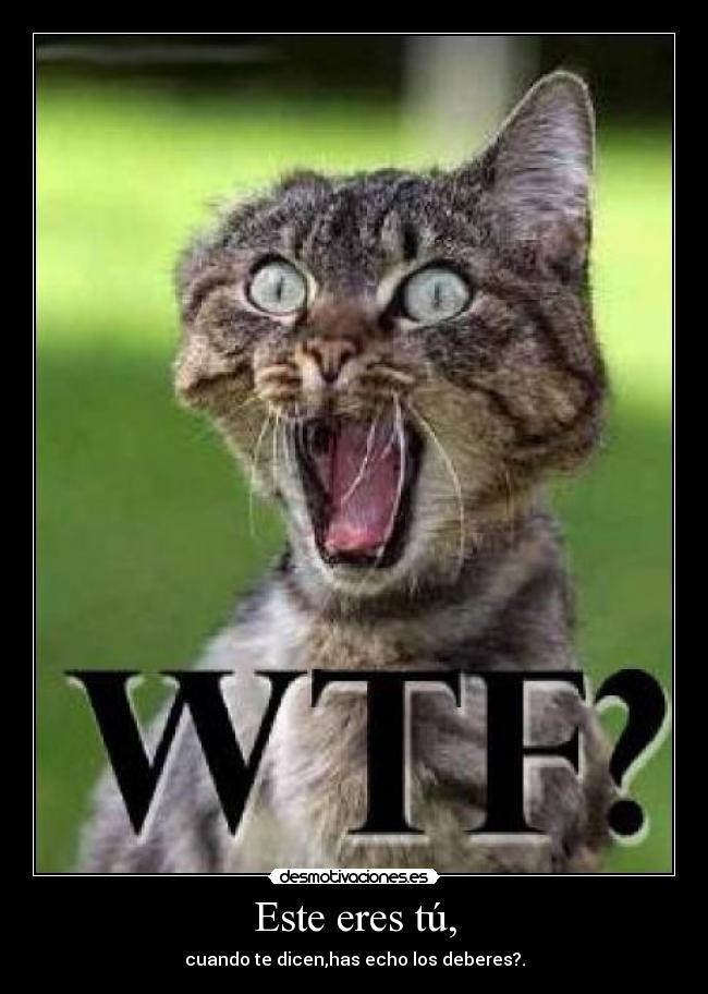 Este eres tú, - cuando te dicen,has echo los deberes?.