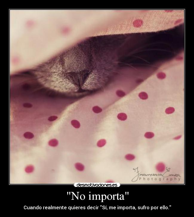 No importa - Cuando realmente quieres decir Sí, me importa, sufro por ello.
