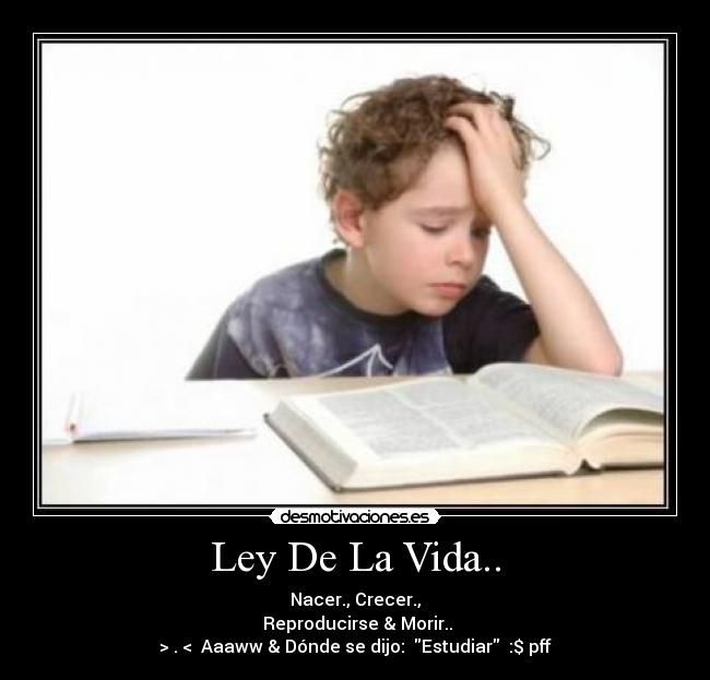 carteles vida sary lainez desmotivaciones