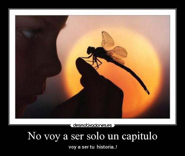 No voy a ser solo un capitulo -