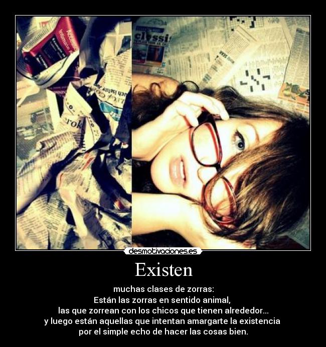 Existen - muchas clases de zorras:
Están las zorras en sentido animal, 
las que zorrean con los chicos que tienen alrededor...
y luego están aquellas que intentan amargarte la existencia 
por el simple echo de hacer las cosas bien.