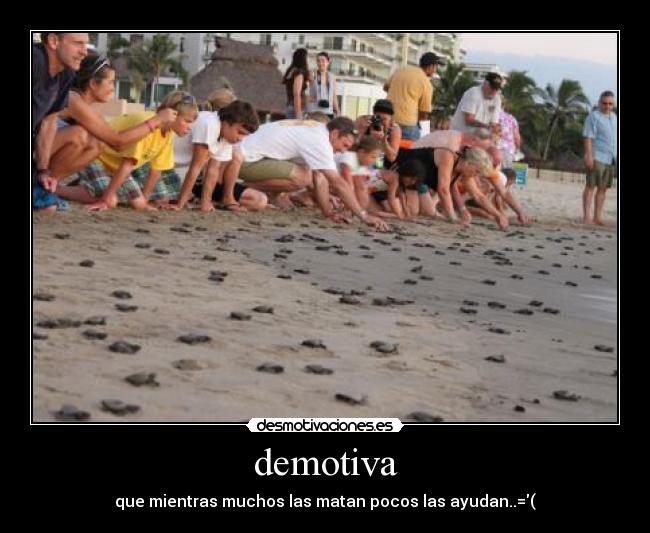 demotiva - que mientras muchos las matan pocos las ayudan..=(