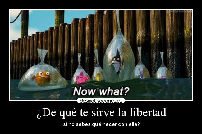 ¿De qué te sirve la libertad -