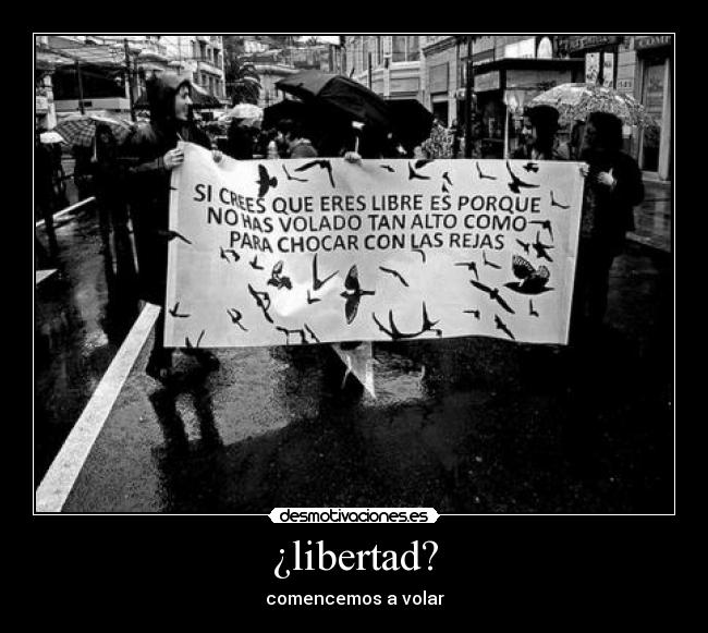 ¿libertad? - comencemos a volar