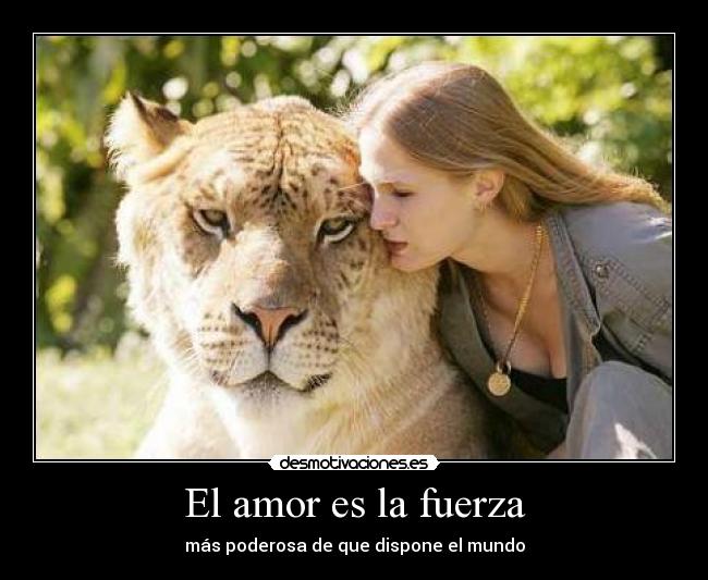 El amor es la fuerza - más poderosa de que dispone el mundo