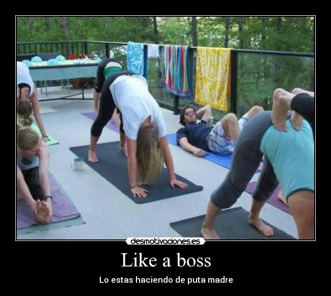 Like a boss - Lo estas haciendo de puta madre