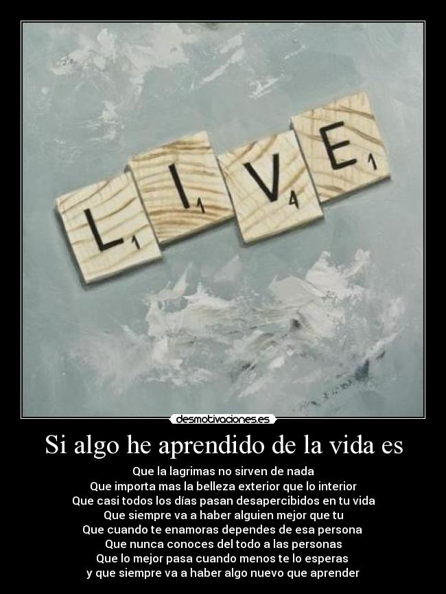 Si algo he aprendido de la vida es - Que la lagrimas no sirven de nada
Que importa mas la belleza exterior que lo interior
Que casi todos los días pasan desapercibidos en tu vida
Que siempre va a haber alguien mejor que tu
Que cuando te enamoras dependes de esa persona
Que nunca conoces del todo a las personas
Que lo mejor pasa cuando menos te lo esperas
y que siempre va a haber algo nuevo que aprender
